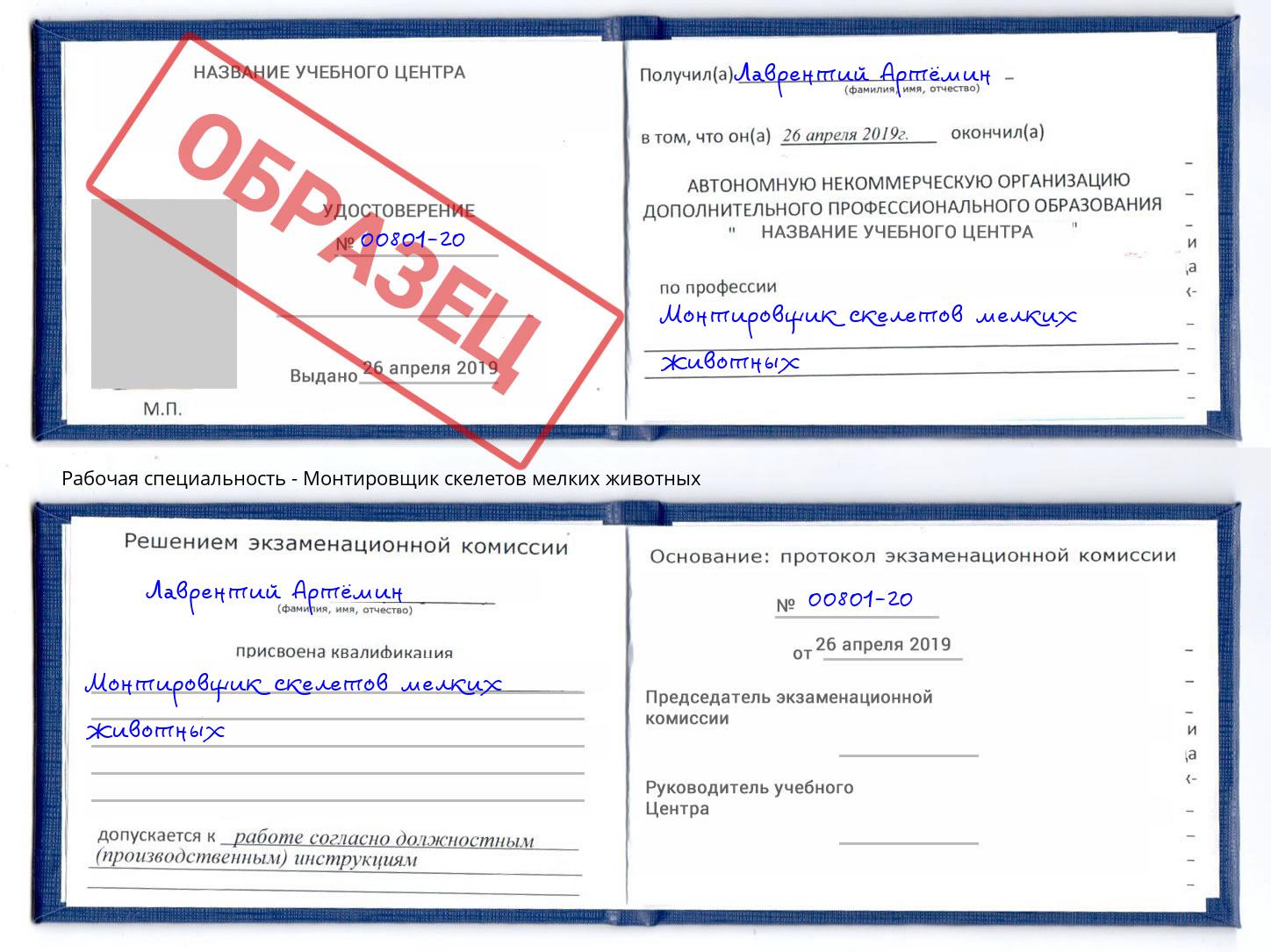 Монтировщик скелетов мелких животных Гатчина
