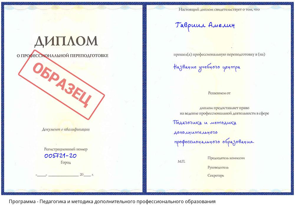 Педагогика и методика дополнительного профессионального образования Гатчина