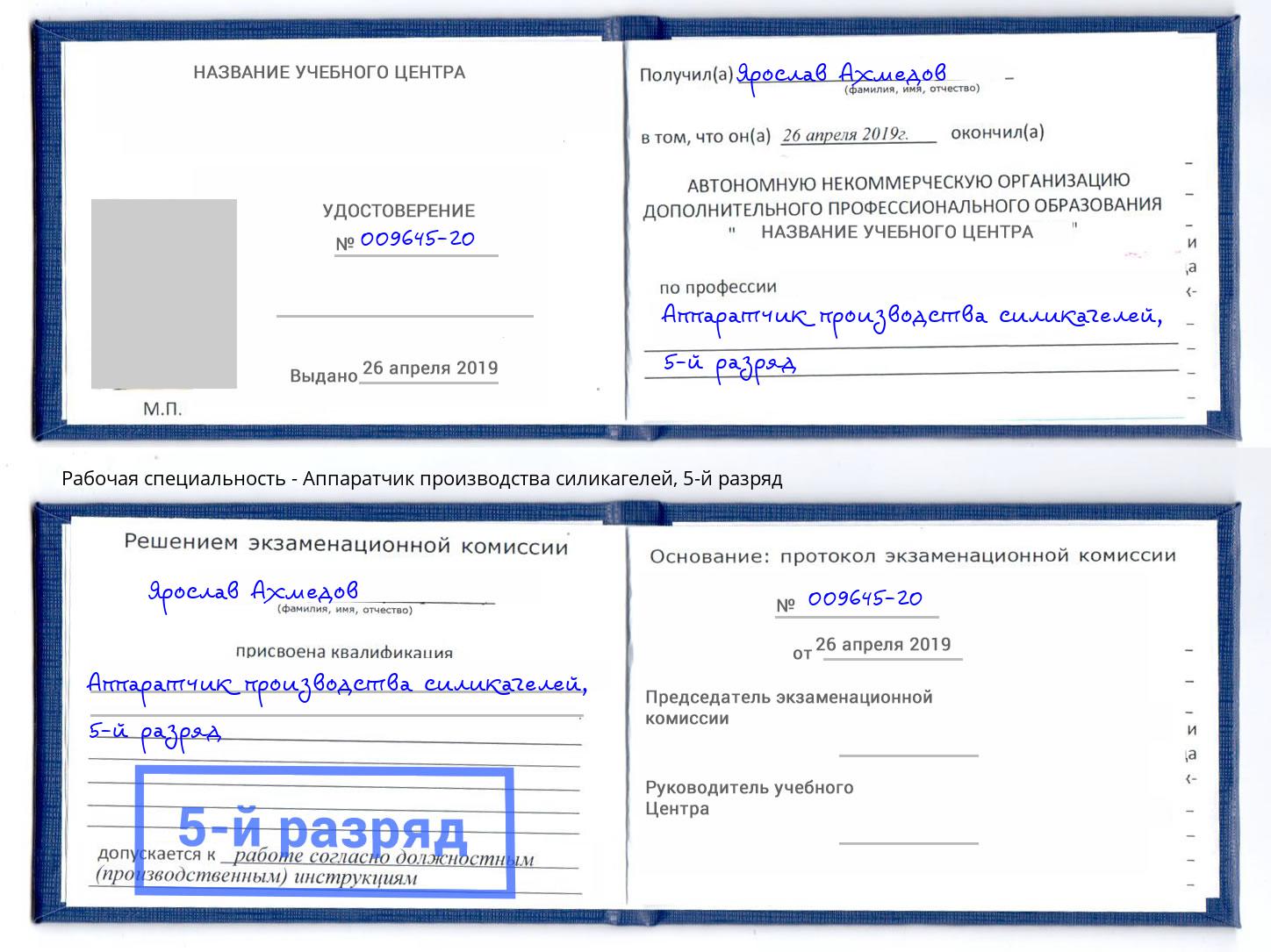 корочка 5-й разряд Аппаратчик производства силикагелей Гатчина