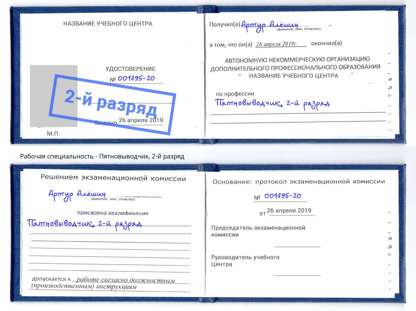 корочка 2-й разряд Пятновыводчик Гатчина