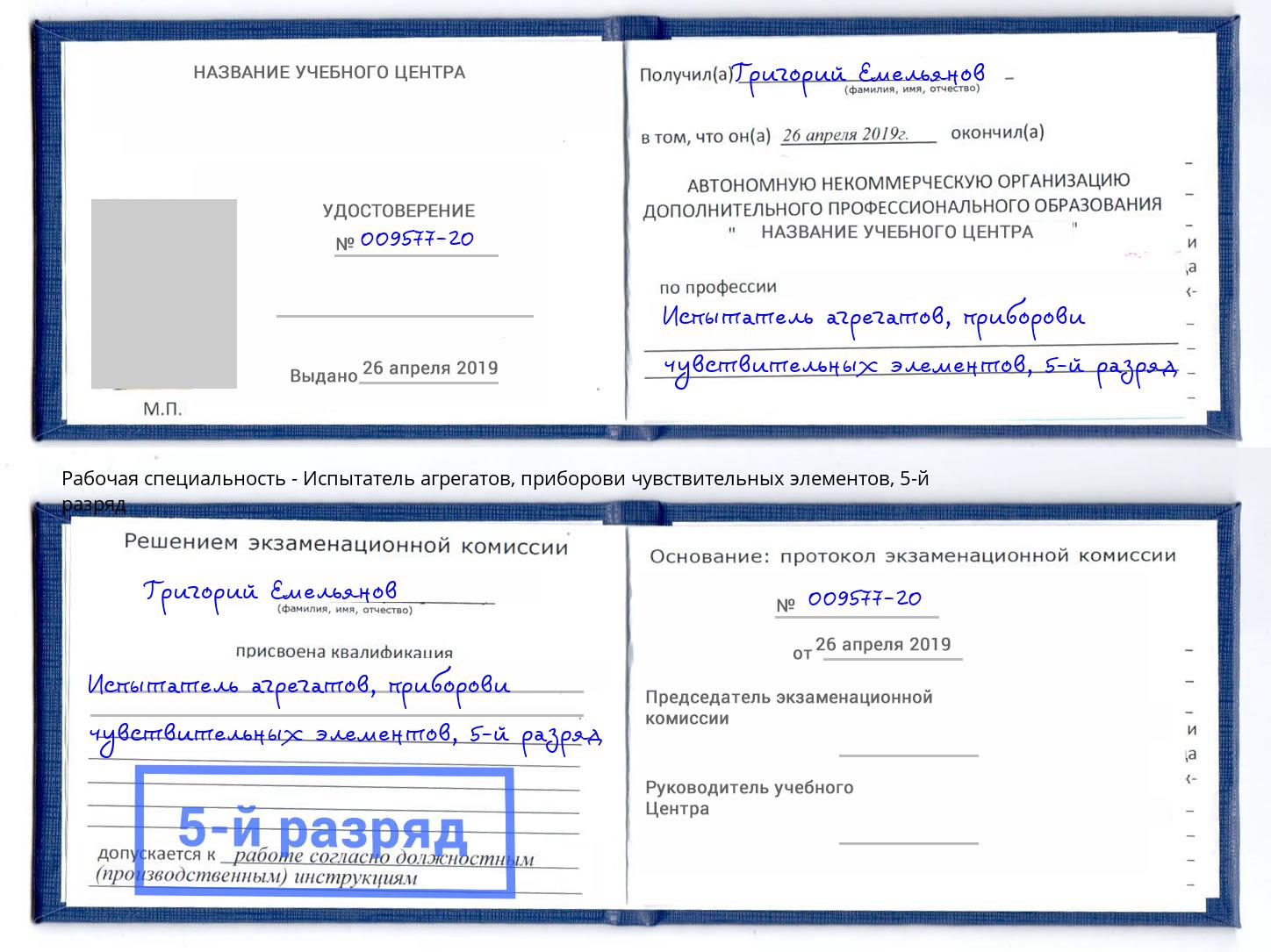 корочка 5-й разряд Испытатель агрегатов, приборови чувствительных элементов Гатчина