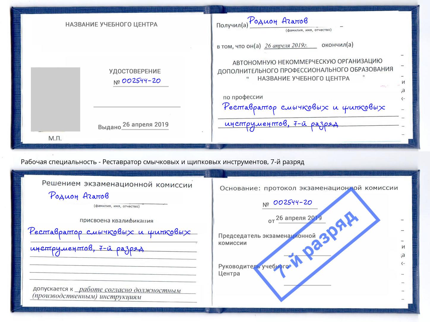 корочка 7-й разряд Реставратор смычковых и щипковых инструментов Гатчина