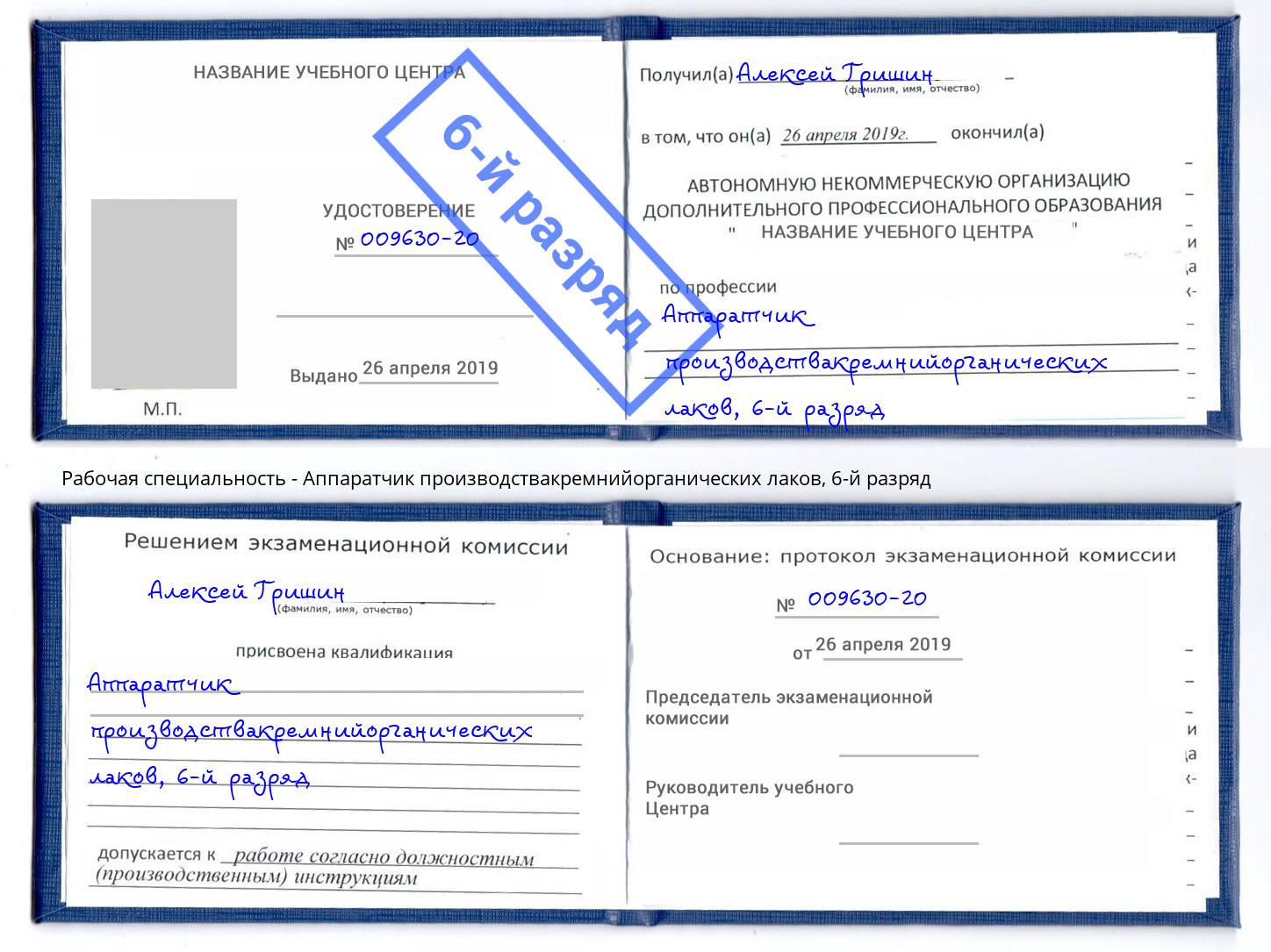 корочка 6-й разряд Аппаратчик производствакремнийорганических лаков Гатчина