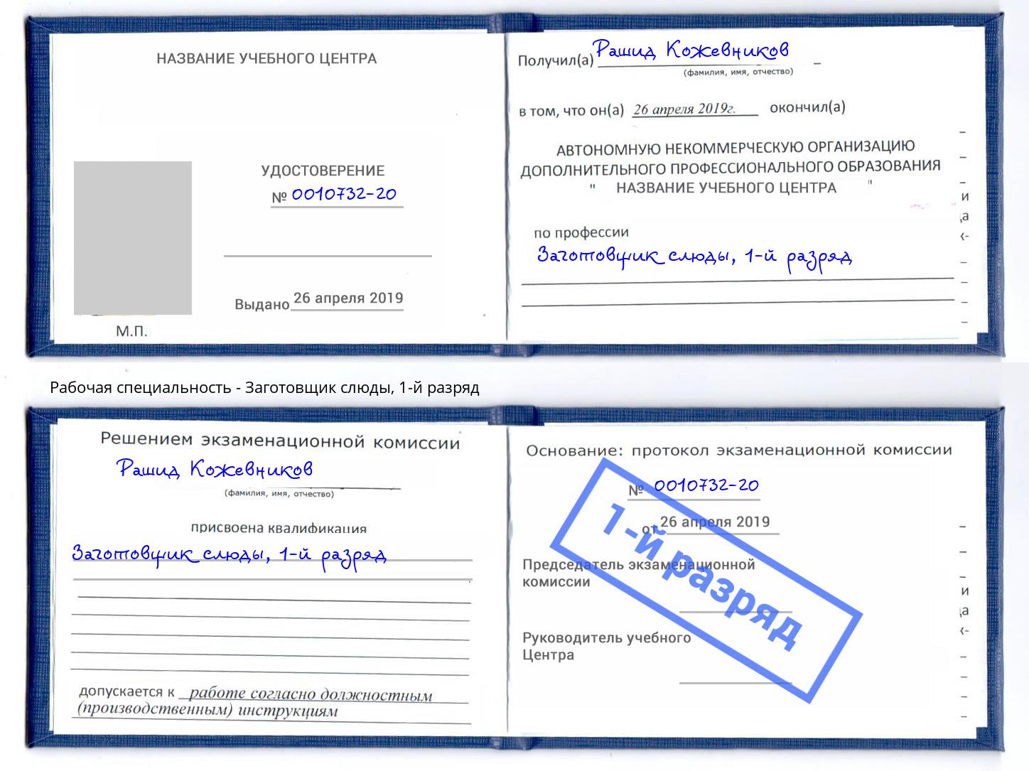корочка 1-й разряд Заготовщик слюды Гатчина